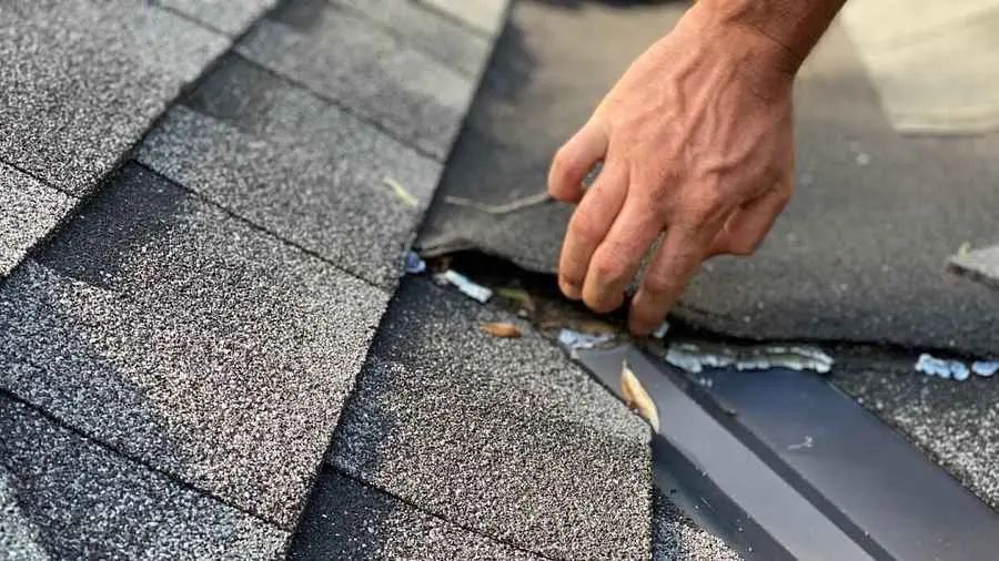 The Importance of Regular Roof Maintenance: Protecting Your Home and Saving Money